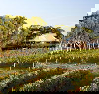 Margaret River and Geographe Bay Region Day Trip from Perth - Accommodation Broome