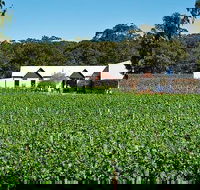 Upper Reach Winery Swan Valley Winery and Vineyard Tour - Accommodation Broome