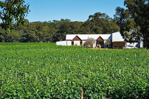 Upper Reach Winery: Swan Valley Winery And Vineyard Tour - Accommodation Broome 0