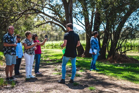 Upper Reach Winery: Swan Valley Winery And Vineyard Tour - Accommodation Broome 8