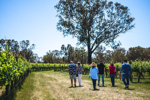 Upper Reach Winery: Swan Valley Winery And Vineyard Tour - Accommodation Broome 3