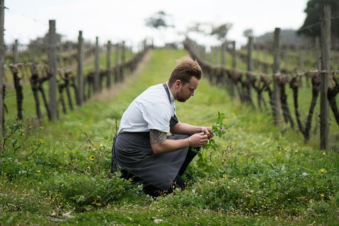 Vasse Felix Epicurean Tour And Tasting Experience With 5 Course Lunch - Accommodation Broome 9