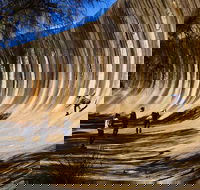 The Big Wave Rock Private Day Tour - Accommodation Broome