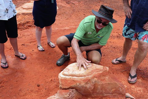 Broome Panoramic Town Tour - All The Extraordinary Sights And History Of Broome - Accommodation Broome 10