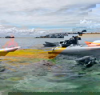 Seal Island and Penguin Island or Point Peron Sea Kayak Tour - Accommodation Broome