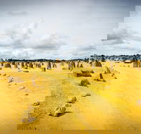 1 Day Pinnacles Wildlife  Sandboarding - Accommodation Broome