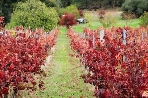 Premium Cider, Wine & Whiskey Tour - Small Group Full-Day Tour From Perth - Accommodation Broome 12