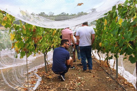 Premium Cider, Wine & Whiskey Tour - Small Group Full-Day Tour From Perth - Accommodation Broome 7