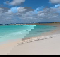 Pink Lake and Abrolhos Full Day Fly and Flipper - Accommodation Broome