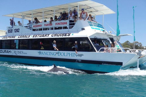 Mandurah Dolphin And Scenic Marine Cruise - Accommodation Broome 1