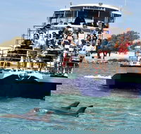 Mandurah Dolphin and Scenic Marine Cruise - Accommodation Broome