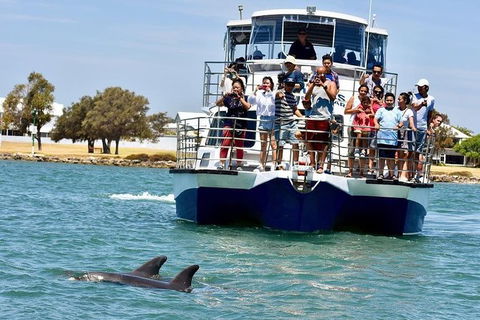 Mandurah Dolphin And Scenic Marine Cruise - Accommodation Broome 0