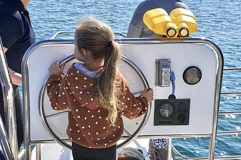 Mandurah Dolphin And Scenic Marine Cruise - Accommodation Broome 10