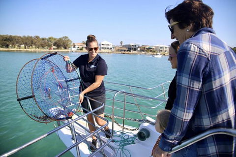 Mandurah Dolphin And Scenic Marine Cruise - Accommodation Broome 16
