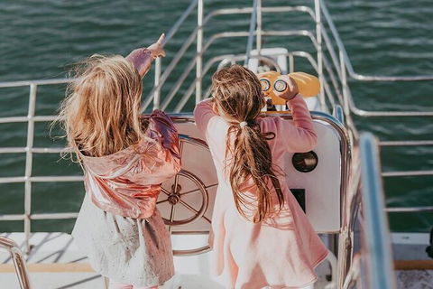 Mandurah Dolphin And Scenic Marine Cruise - Accommodation Broome 13