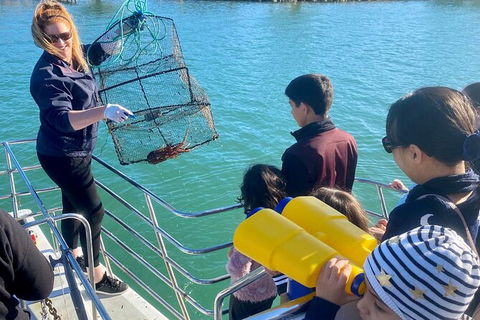 Mandurah Dolphin And Scenic Marine Cruise - Accommodation Broome 18