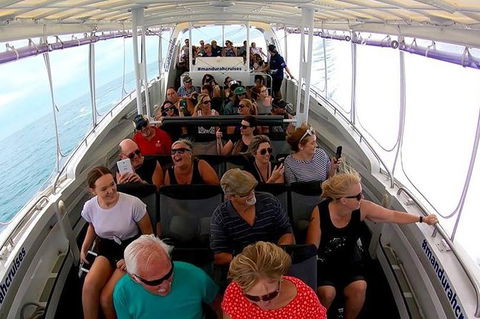 Mandurah Dolphin Island Adventure - Accommodation Broome 1