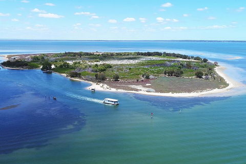Mandurah Dolphin Island Adventure - Accommodation Broome 8