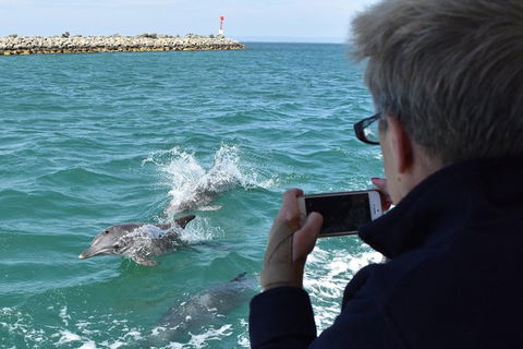 Mandurah Dolphin Island Adventure - Accommodation Broome 2