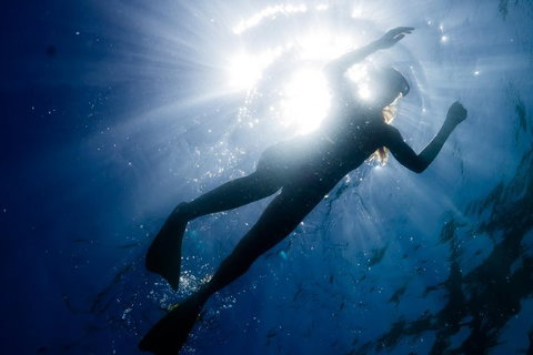 Ningaloo Reef Or Muiron Islands Snorkeling And Wildlife Adventure - Accommodation Broome 6