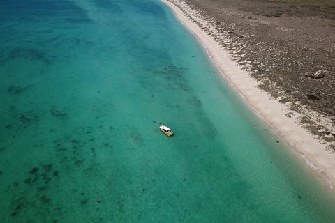 Ningaloo Reef Or Muiron Islands Snorkeling And Wildlife Adventure - Accommodation Broome 10