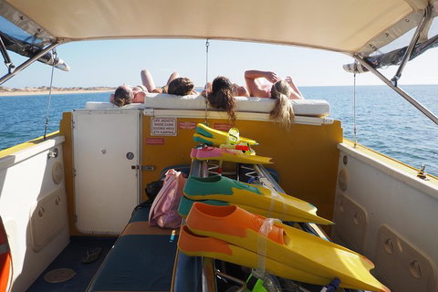 Ningaloo Reef Or Muiron Islands Snorkeling And Wildlife Adventure - Accommodation Broome 11
