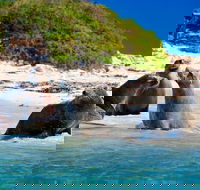 Penguin Island Tour with Dolphin and Sea Lion Cruise - Accommodation Broome
