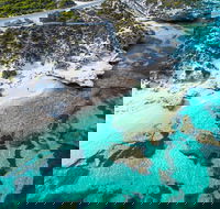Rottnest Island Round-Trip Ferry from Perth or Fremantle - Accommodation Broome