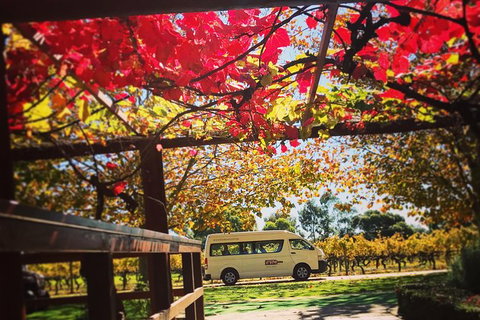 Ultimate Swan Valley Food And Wine Day Trip From Perth - Accommodation Broome 12