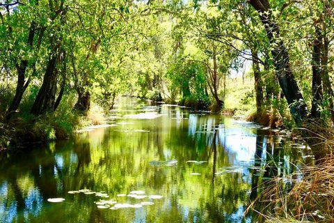 Mitchell Falls Tour - Mt Hart, Mitchell Falls, Horizontal Falls & Cape Leveque - Accommodation Broome 9