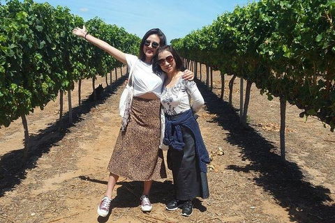 VIP Swan Valley Wine Tour - Premium Small Group Wine & Gourmet Experience - Accommodation Broome 3