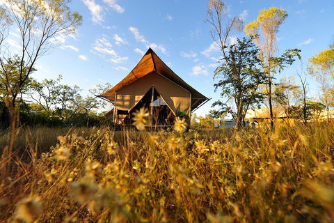 APT Kimberley Wilderness Adventures Purnululu (Bungle Bungle) 4WD Experience - Accommodation Broome 10