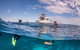 Exclusive Ningaloo Adventure Charter From Exmouth - thumb 0