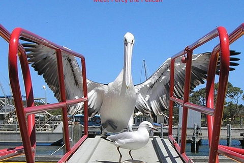 Kalgan Queen Scenic Cruises A Four Hour Sheltered Water Wildlife Tour Daily Fun. - Accommodation Broome 1