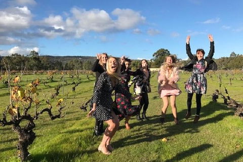 VW Kombi Food, Wine And More Tour (bring The Kids!) - Accommodation Broome 3