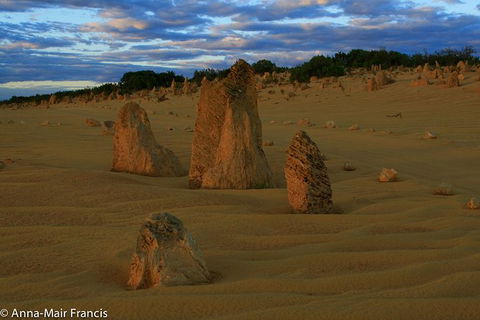 Pinnacles, Sunset And Night Photography Private Day Tour - Accommodation Broome 0