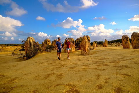 Half Day Pinnacles Sunset Tour - Accommodation Broome 3