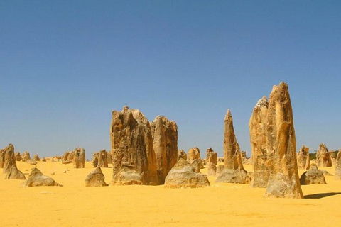 Half Day Pinnacles Sunset Tour - Accommodation Broome 6