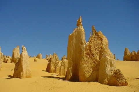 Half Day Pinnacles Sunset Tour - Accommodation Broome 5