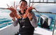 Premium Live Lobster Tours Presented Sashimi Or BBQ Style - thumb 1