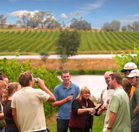 Yarra Valley Wine and Winery Tour from Melbourne - Accommodation Broome
