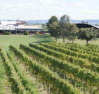 Puffing Billy Train and Yarra Valley Food and Wine Day Trip from Melbourne - Accommodation Broome