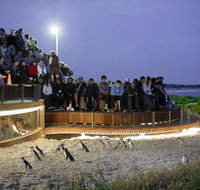 Small-Group Phillip Island Day Trip from Melbourne with Penguin Plus Viewing - Accommodation Broome
