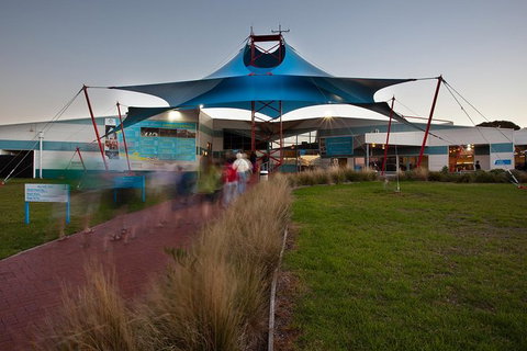 Express Expedition To Phillip Island Penguin Wildlife Encounter Evening Tour - Accommodation Broome 1