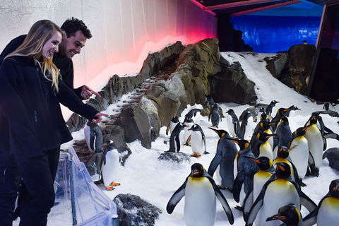 Penguin Passport At SEA LIFE Melbourne Aquarium - Accommodation Broome 0