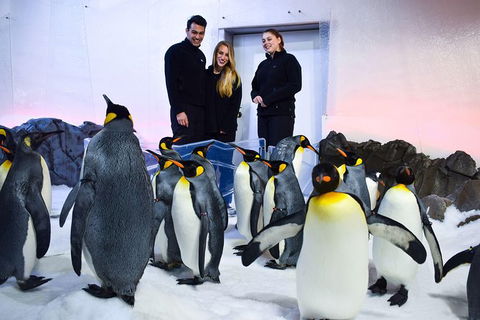 Penguin Passport At SEA LIFE Melbourne Aquarium - Accommodation Broome 4