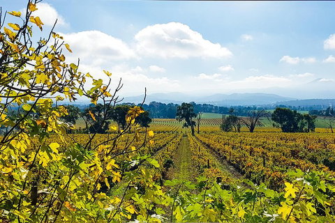 Alternative Yarra Valley Wine Tasting Tour Departing From Melbourne - Accommodation Broome 4