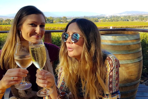Alternative Yarra Valley Wine Tasting Tour Departing From Melbourne - Accommodation Broome 5