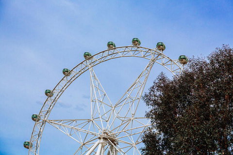 City Sightseeing Melbourne Hop-On Hop-Off Bus Tour - Accommodation Broome 8