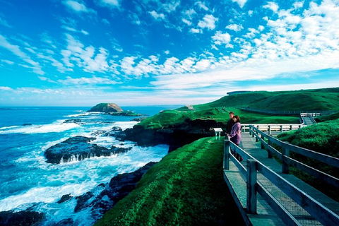 Phillip Island Penguin Parade Express Tour From Melbourne - Accommodation Broome 8